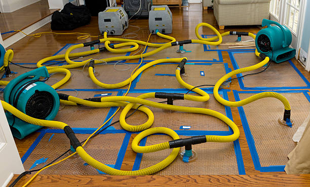 Professional Structural Drying And Dehumidification technician working in Redmond, OR